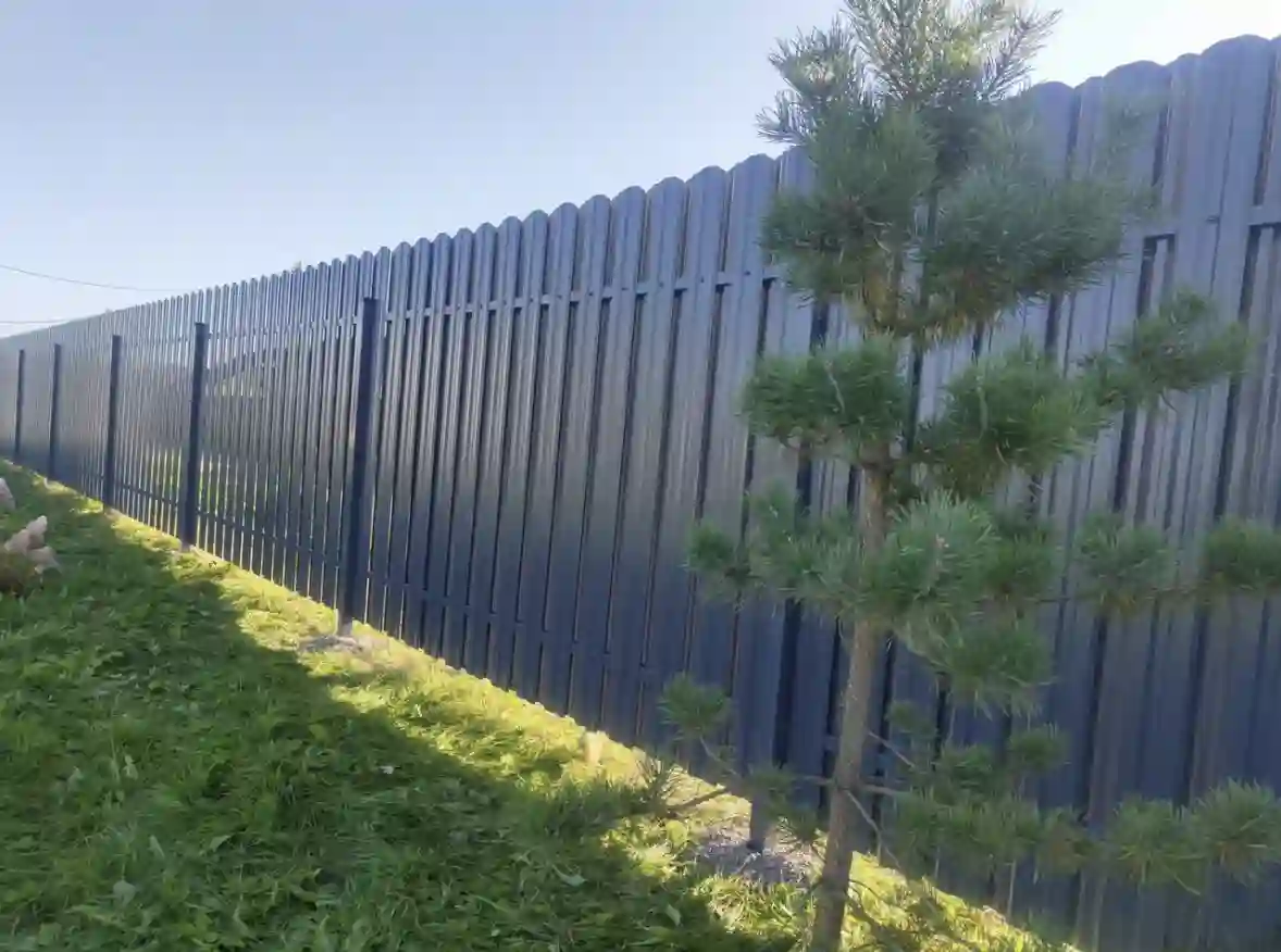 Пример работы 48