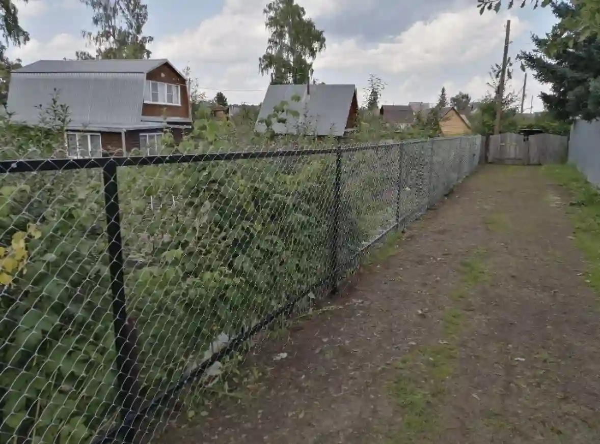 Пример работы 50